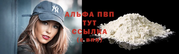 ECSTASY Заводоуковск