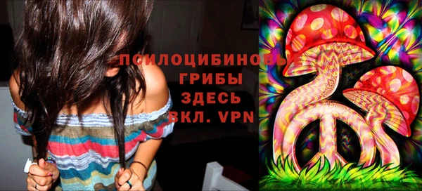 PSILOCYBIN Абаза