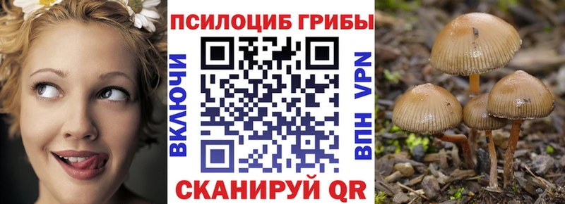 ОМГ ОМГ зеркало  Торопец  Псилоцибиновые грибы мухоморы  как найти наркотики 